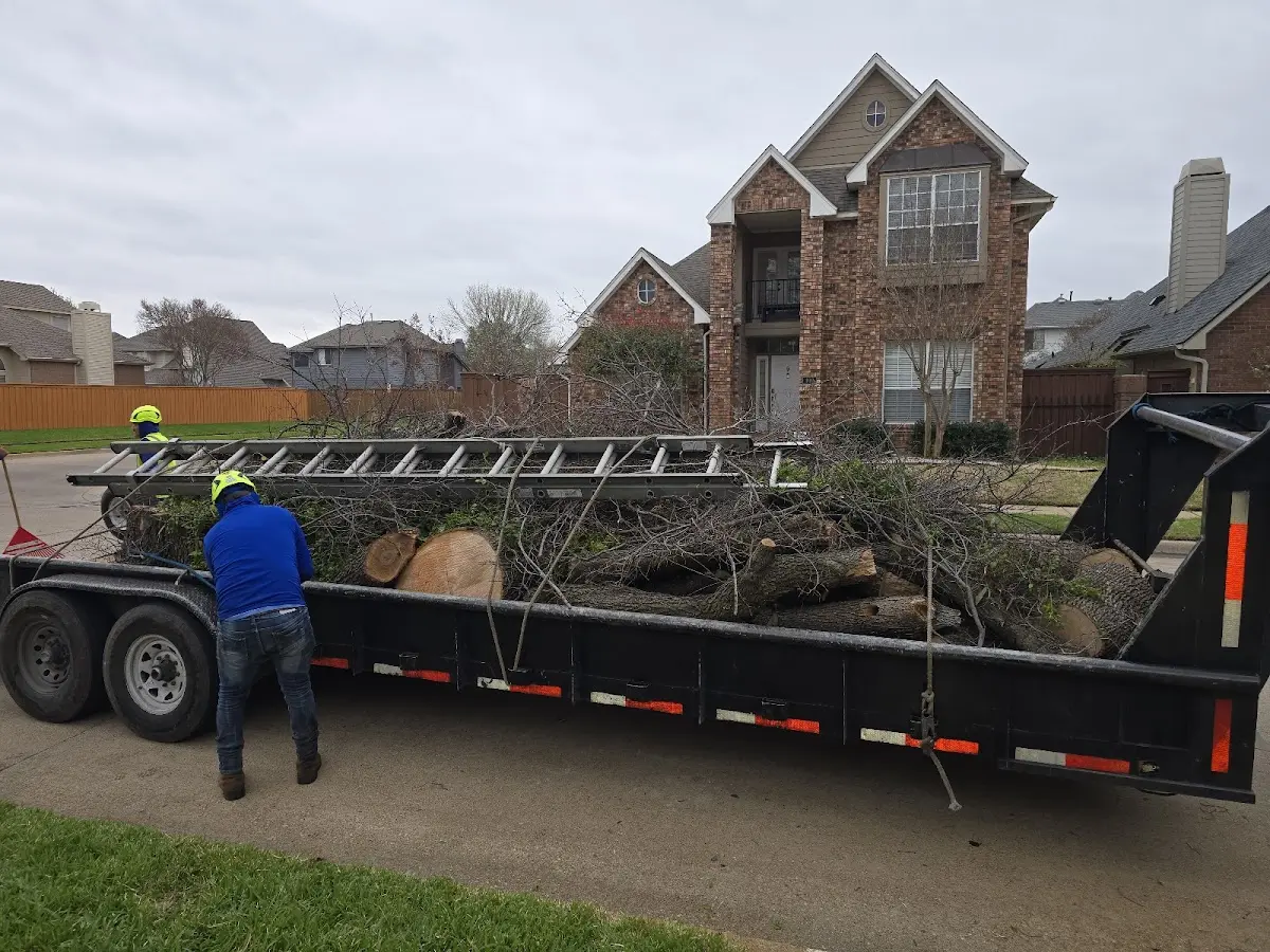 Expert Lot Clearing with proper safety equipment in Diberville